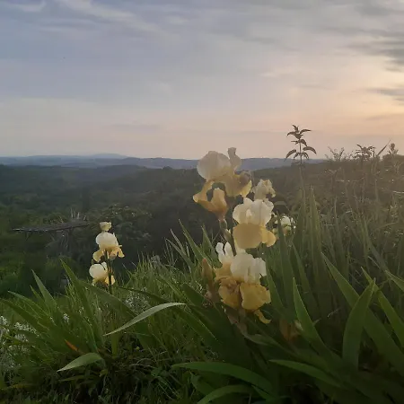 Ferme Beauregard Les Pyrenees *