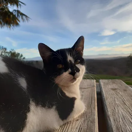 Apartamento Ferme Beauregard Les Pyrénées