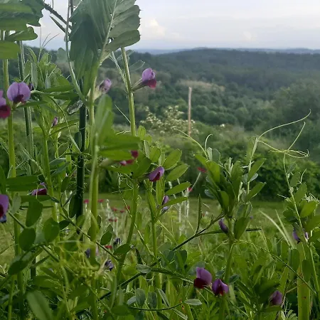 Ferme Beauregard Les Pyrénées