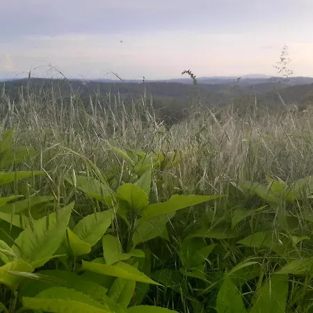 Apartamento Ferme Beauregard Les Pyrénées
