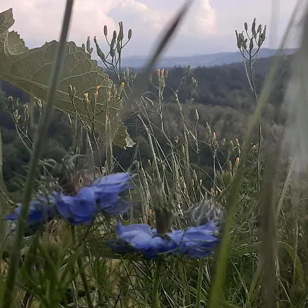 Ferme Beauregard Les Pyrénées Artigat