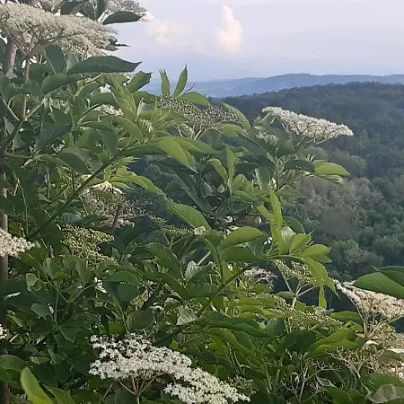 Ferme Beauregard Les Pyrénées * Artigat