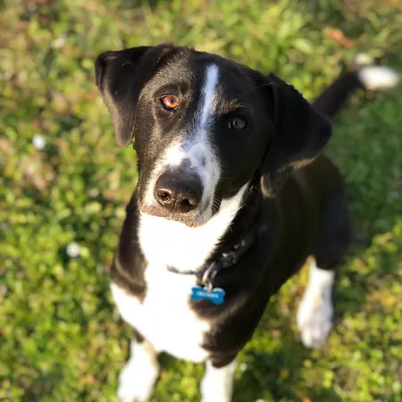 Ferme Beauregard Les Pyrénées Apartamento