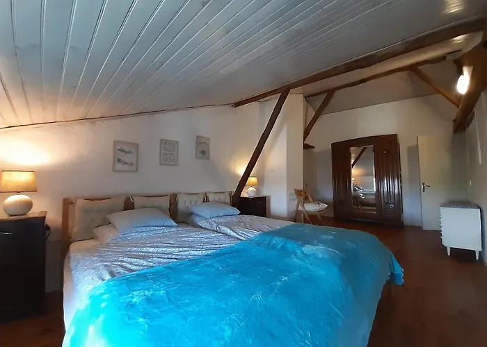 Ferme Beauregard Les Pyrénées Appartamento Artigat