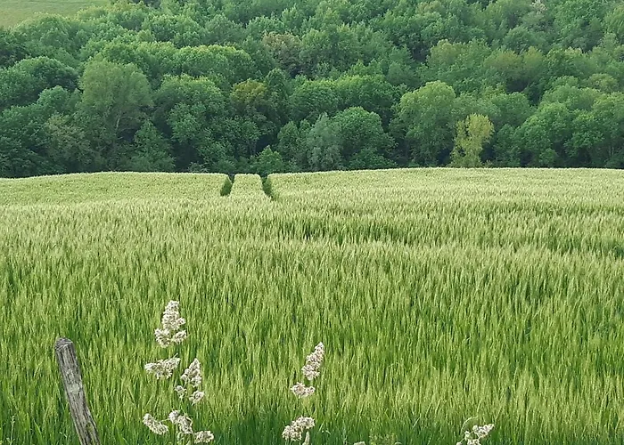 Ferme Beauregard Les Pyrénées Appartamento Artigat