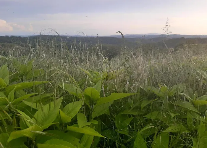 Appartamento Ferme Beauregard Les Pyrénées